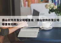 佛山软件开发公司哪里有（佛山软件开发公司哪里有招聘）