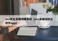 seo优化关键词哪家好（seo关键词优化软件app）